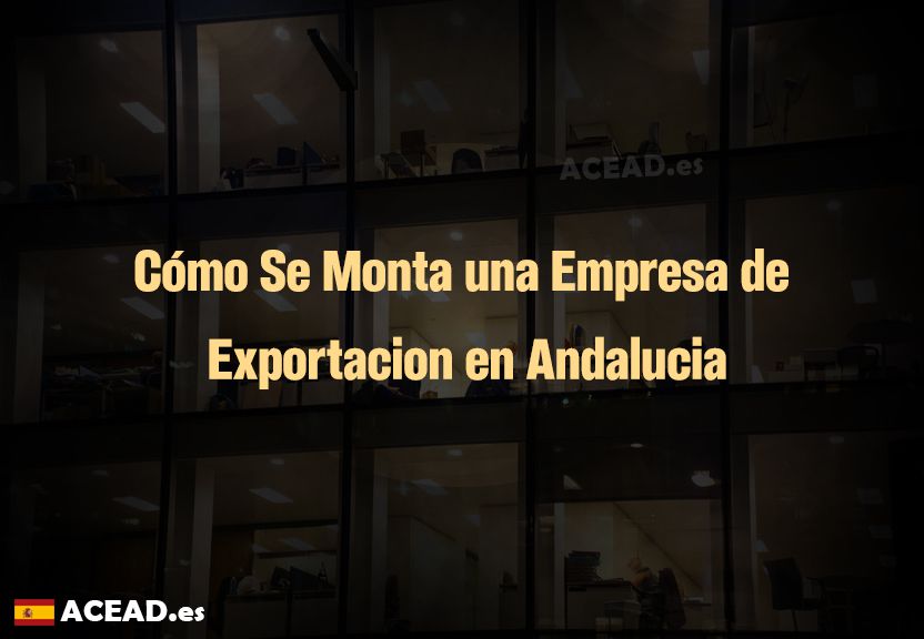 Cómo Se Monta una Empresa de Exportacion en Andalucia